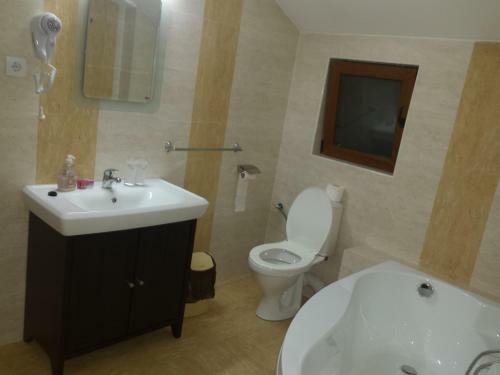 Hostal Pensiunea Clasic