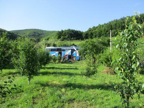 Hostal Cabana Poiana Galdei