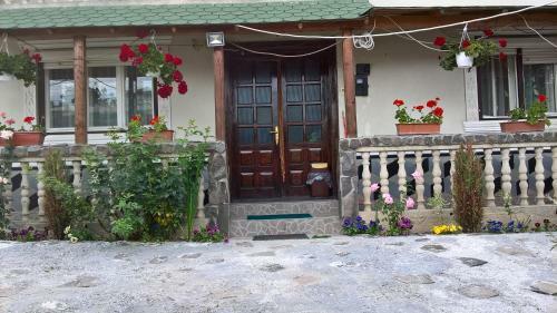 Hostal Casa Ionela Petreus