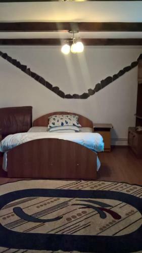 Hostal Casa Ionela Petreus