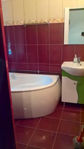 Hostal Casa Ionela Petreus