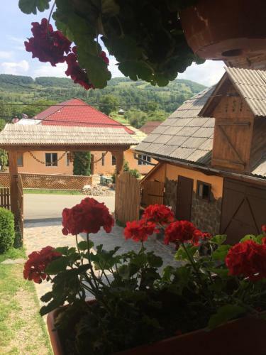 Agroturismo Pensiunea Alina