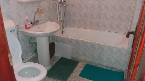 Apartament Iasmina