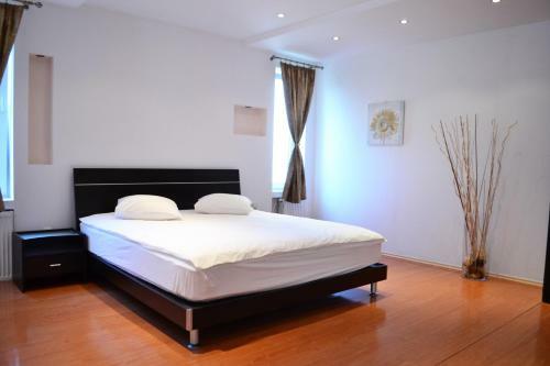 Villa Vila Raul