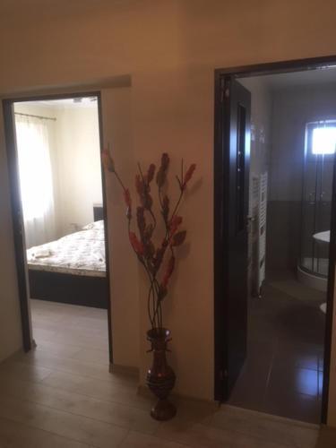 Apartments 26