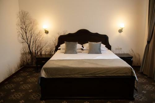 Hotel Leul De Aur