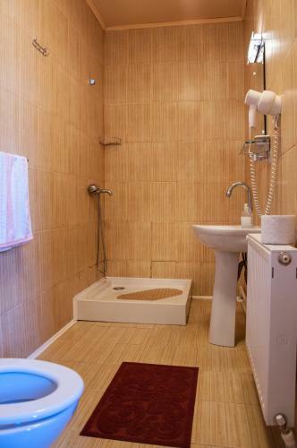 Hostal Pensiunea Sarmis