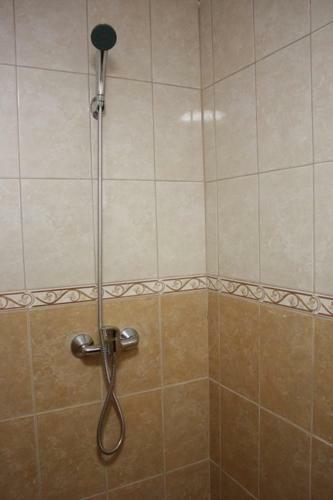 Hostal Conacul Samfirei