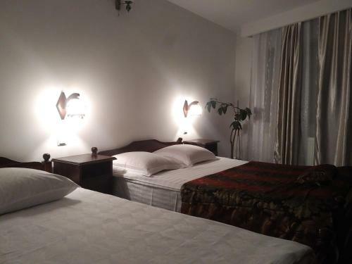 Hostal Pensiunea Millenium