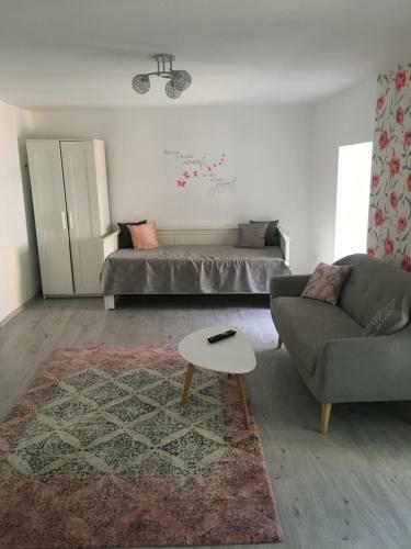Bruk Central Apartament