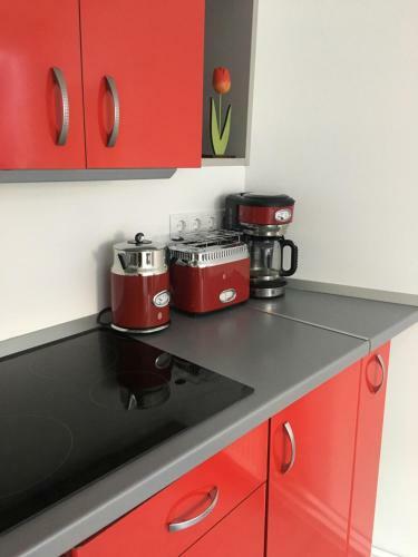 Bruk Central Apartament
