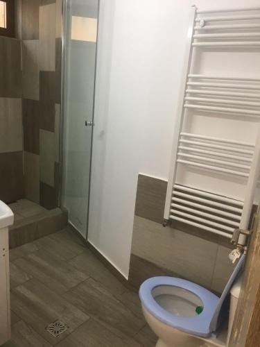 Apartament Central V&p