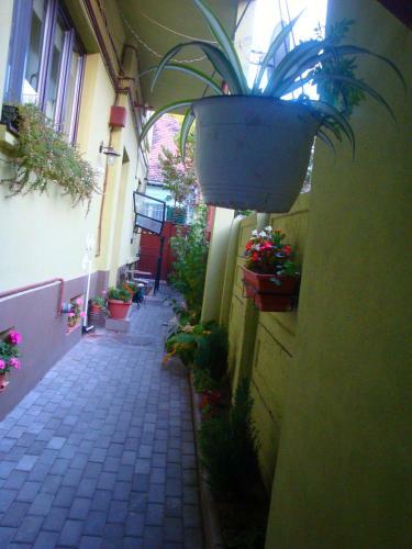 Apartamento Sonja's Nest