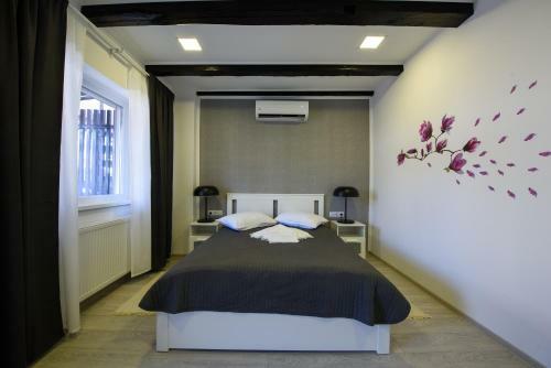 Hostal Pensiunea Alina