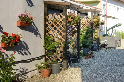 Hostal Pensiunea Alina