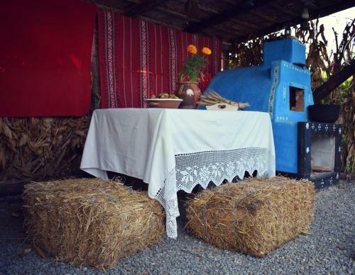 Agroturismo Iz De Maramures (adults Only)