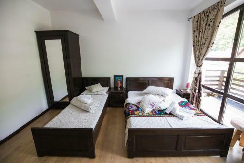 Hostal Casa Dacilor Transalpina