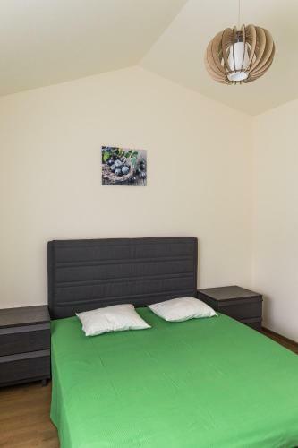 Lodge Casa Petru Stolna