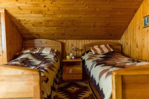 Lodge Casa Petru Stolna