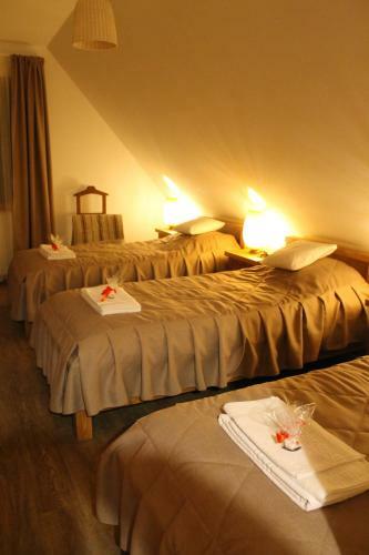 Hostal Pensiunea Orgona