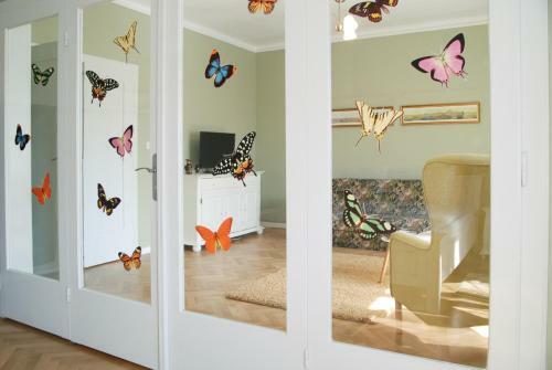 Apartment House Timisoara