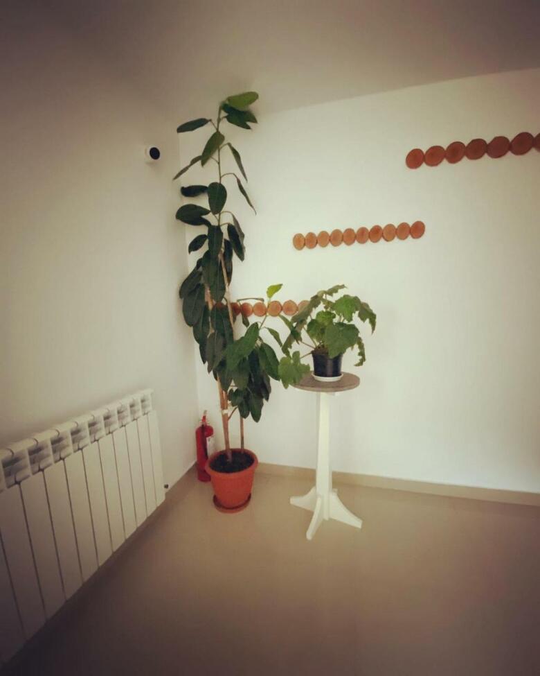 Hotel Maison Platanus