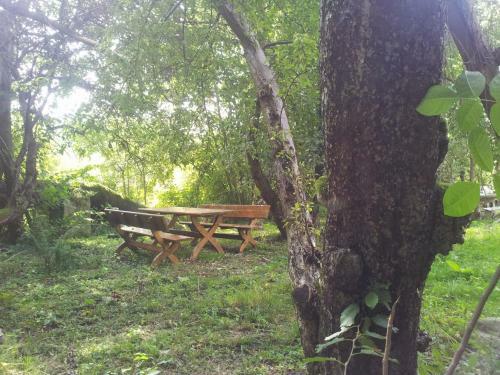 Bed & Breakfast Pensiunea Elena