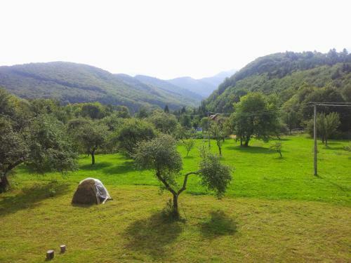 Bed & Breakfast Pensiunea Elena