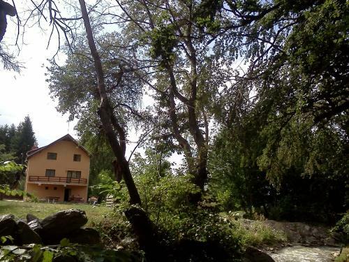 Bed & Breakfast Pensiunea Elena