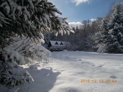 Cabana Lacrimioara