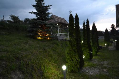 Casa Carpati