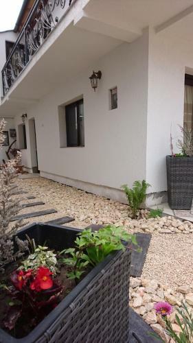 Hostal Luna