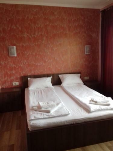 Hostal Pensiunea Damiris