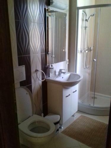 Hostal Pensiunea Damiris