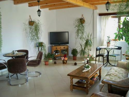 Hostal Vila Altius Felix