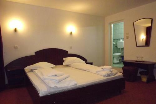 Hotel Vila Simina