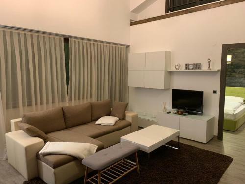 Hotel Silver Mountain Loft A42 Lv