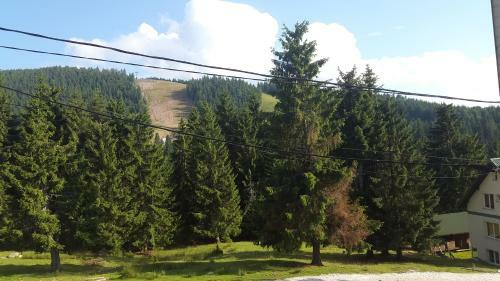 Cabana Izvorul Ariesului
