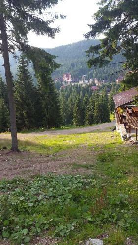 Cabana Izvorul Ariesului