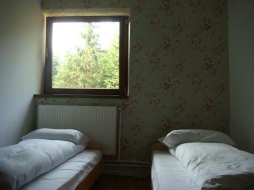 Hostal Pension Cabana Cetatile Ponorului