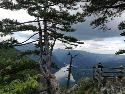Lodge Brvnare Sekulic