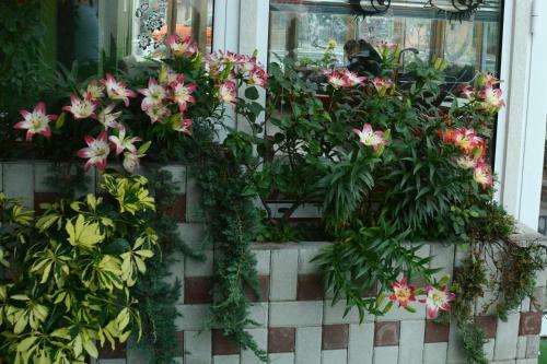 Hostal Apartmani Banja