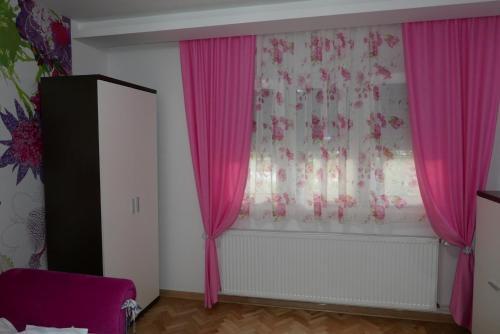 Apartment Zavi?aj