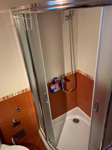 Apartmani Mi?i?