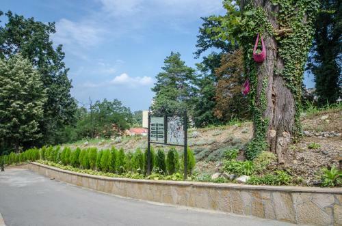 Apartments Biser