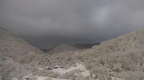 Stara Planina Stankovic Apartman