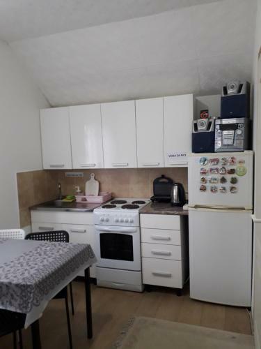 Stara Planina Stankovic Apartman