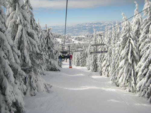 Apartment Kopaonik All Seasons Brzece