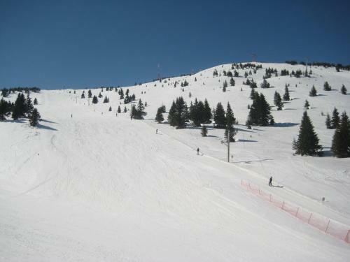 Apartment Kopaonik All Seasons Brzece