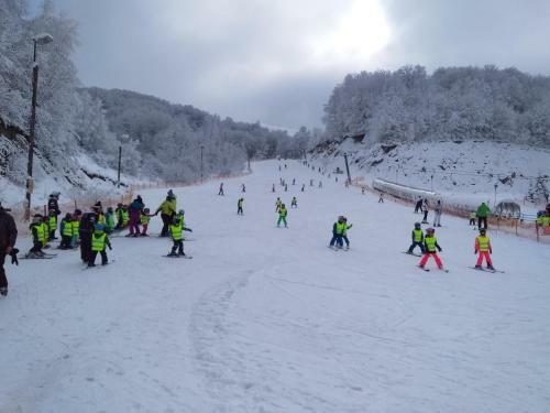 Apartment Kopaonik All Seasons Brzece